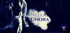Neela Ghora (Blue Horse) - Turban Material - Sacred Sikh